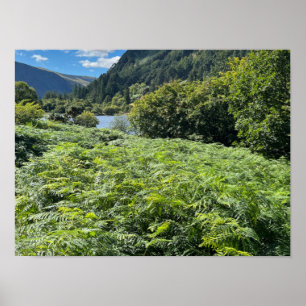 Glendalaugh Lakes Landkreis Wicklow Irland Europe Poster