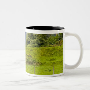 Glendalough, Irland. Glendalough ist Zweifarbige Tasse