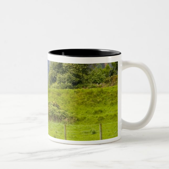 Glendalough, Irland. Glendalough ist Zweifarbige Tasse (Rechts)