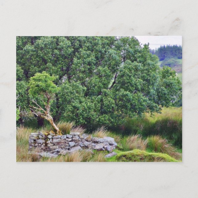 Glengesh Pass in Irland Landschaft Postkarte (Vorderseite)