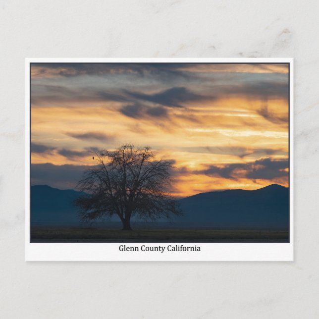 Glenn County California Sunset Postcard Postkarte (Vorderseite)