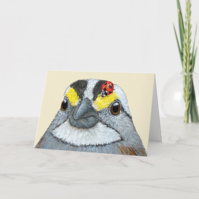 Glenn la carte du moineau (Devant)