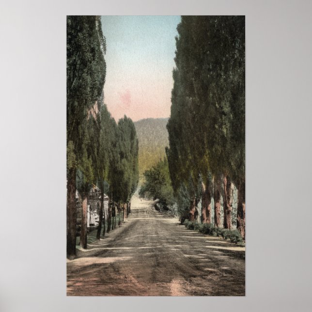 Glenwood Springs, Colorado Poster (Vorne)