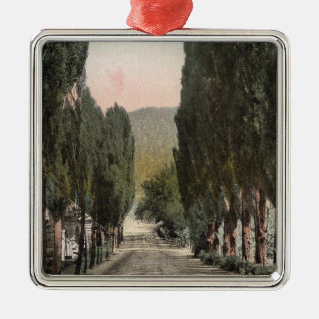 Glenwood Springs, Colorado Silbernes Ornament (Vorne)