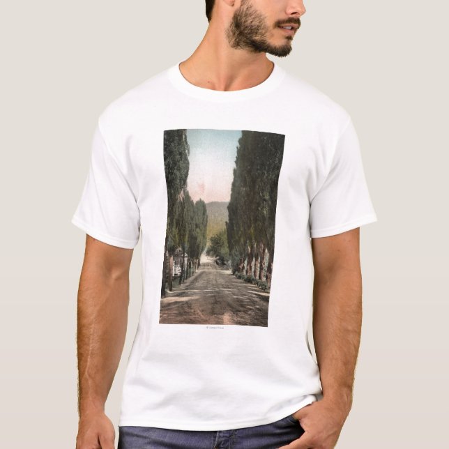 Glenwood Springs, Colorado T-Shirt (Vorderseite)
