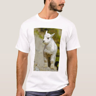Gletscher-Nationalpark, Montana, USA, Berg T-Shirt