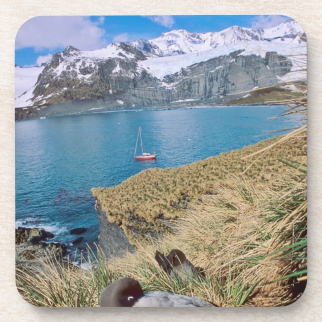Gletscher und Segelyacht im Hintergrund Untersetzer (Vorderseite)