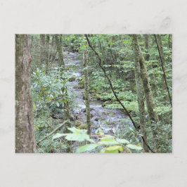 Gletscherbach Postkarte