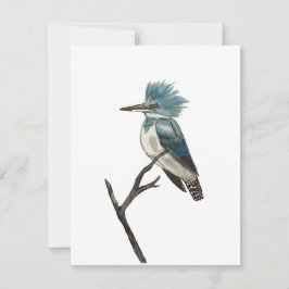 Gliedmaße Kingfisher-Note-Karte Mitteilungskarte