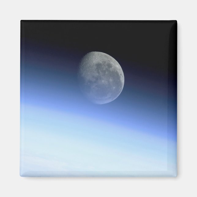 Gliedmaße Magnet (Vorne)