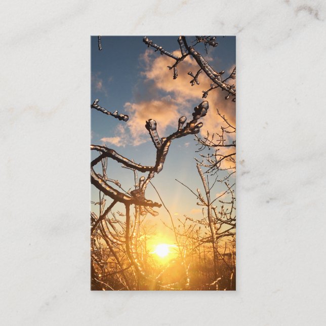 Gliedmaße Visitenkarte (Vorderseite)