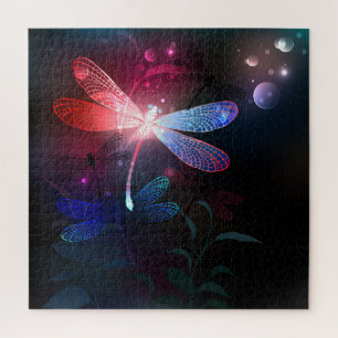 Glimmerne Rote Libelle