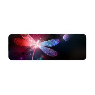 Glimmerne Rote Libelle