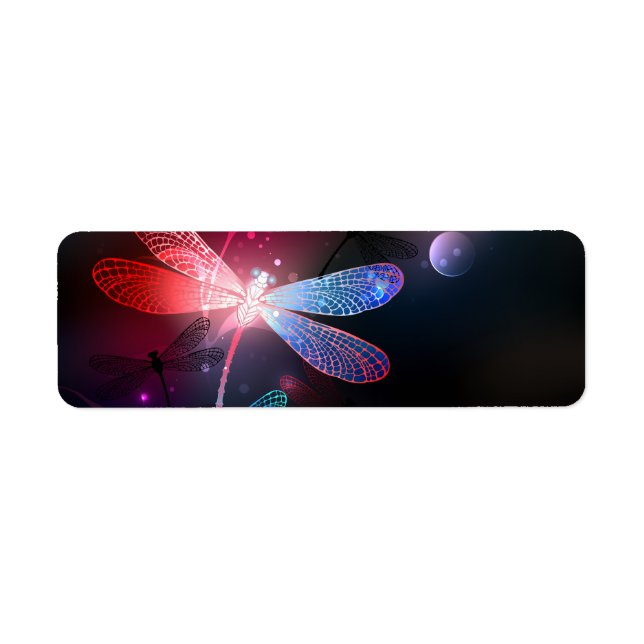 Glimmerne Rote Libelle (Vorne)