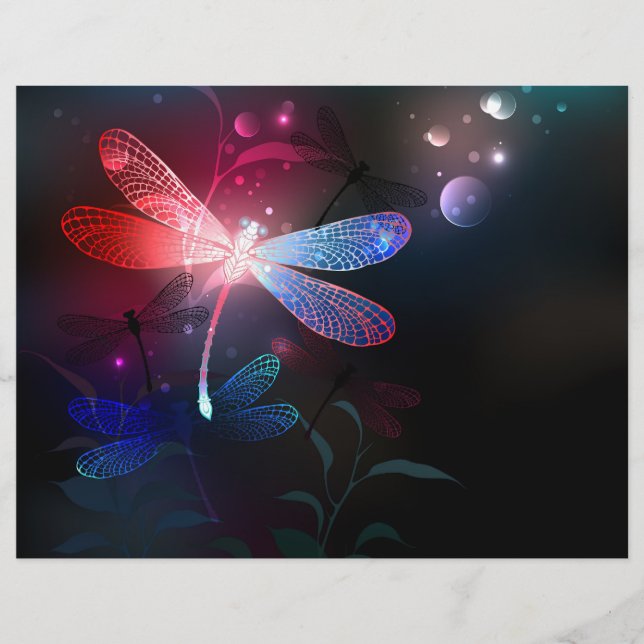 Glimmerne Rote Libelle Flyer (Vorne)