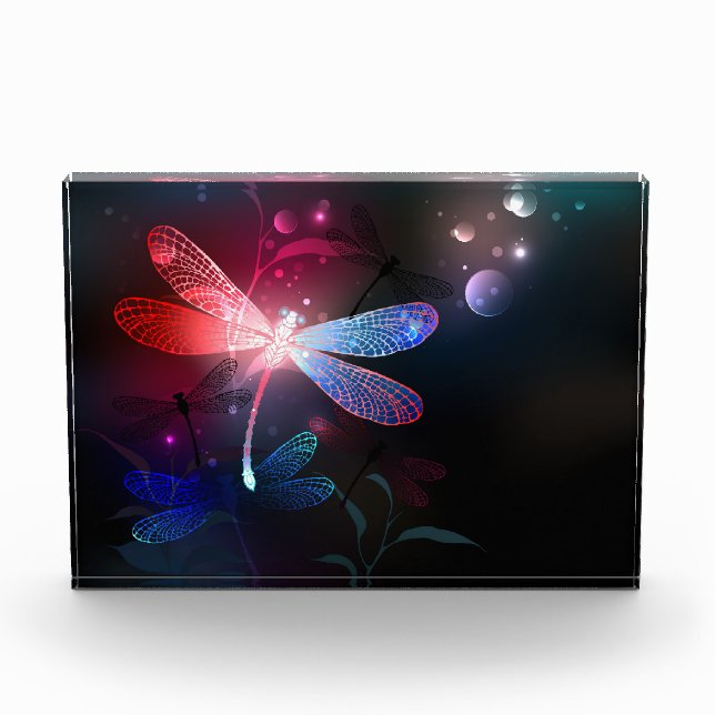 Glimmerne Rote Libelle Fotoblock (Vorderseite)