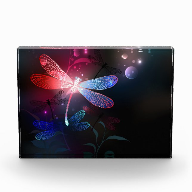 Glimmerne Rote Libelle Fotoblock (Vorderseite)