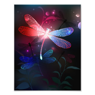 Glimmerne Rote Libelle Fotodruck