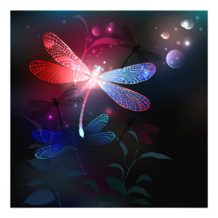 Glimmerne Rote Libelle Fotodruck