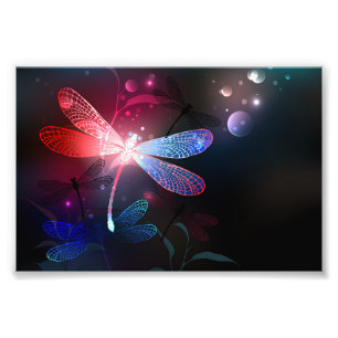 Glimmerne Rote Libelle Fotodruck