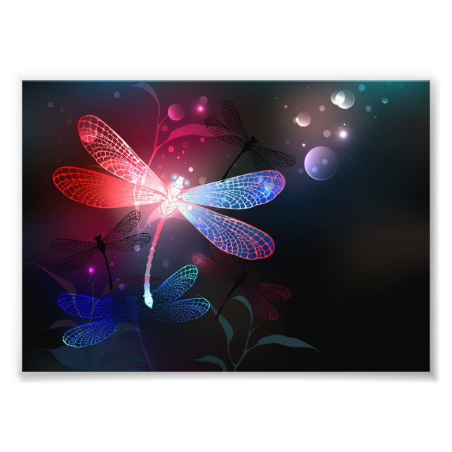 Glimmerne Rote Libelle Fotodruck (Vorne)