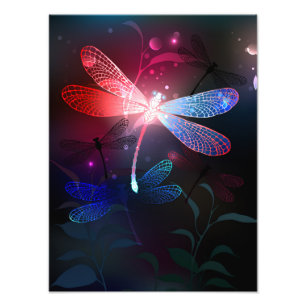 Glimmerne Rote Libelle Fotodruck