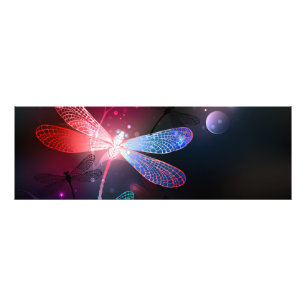 Glimmerne Rote Libelle Fotodruck