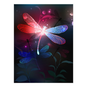 Glimmerne Rote Libelle Fotodruck
