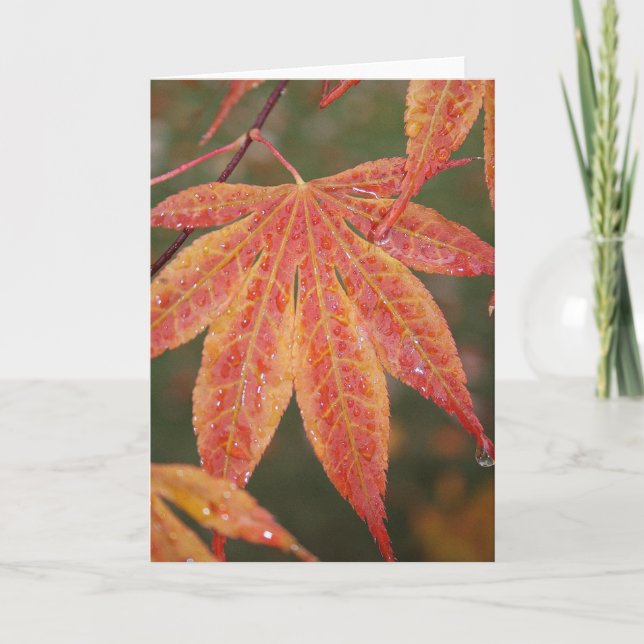 Glitzerndes Blätter Karte (Vorderseite)