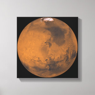 Globale Farbansicht von Mars Leinwanddruck