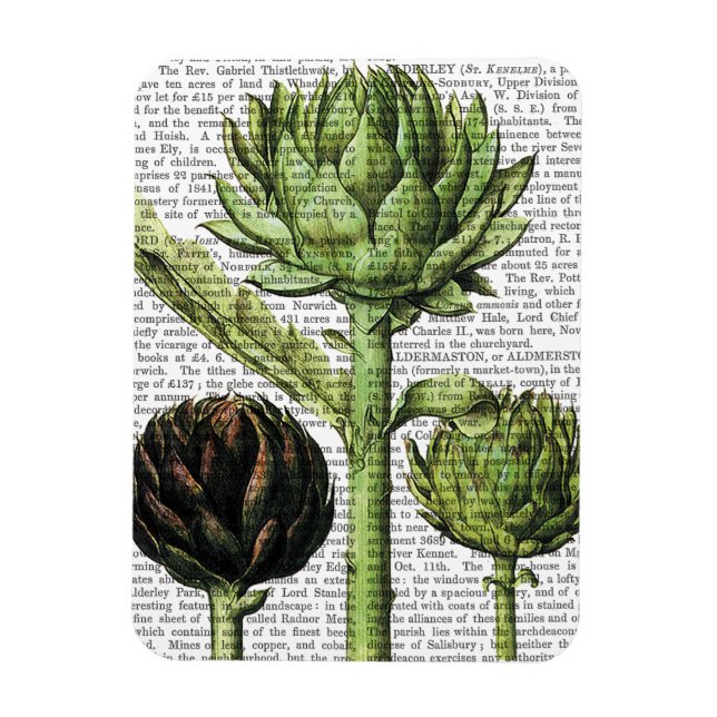 Globe Artichoke Print 2 Magnet (Vertikal)
