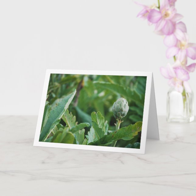 Globe Artichoke Thistle Pflanze Karte (Orchidee)
