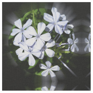 Globe der Blume Stoff