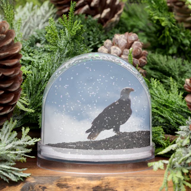Globe des neiges de l'aigle chauve (Hiver)