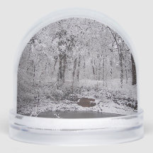 Globe des neiges des étangs neigeux