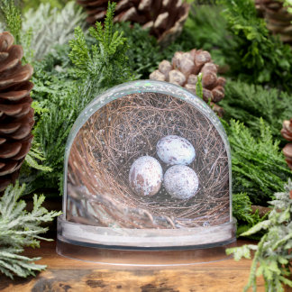 Globe des neiges des OEufs cardinaux