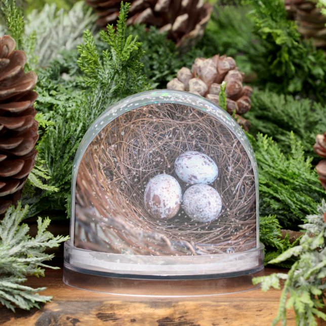 Globe des neiges des OEufs cardinaux (Hiver)