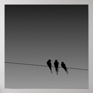 Globende Blackbirds Silhouette auf Wire Poster