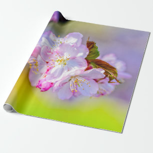 Globulärer Haufen Phantastischer rosa Sakura-Blume Geschenkpapier
