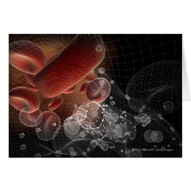 Globules rouges dans le wireframe (Devant horizontal)