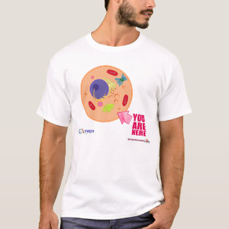 Globy Karten T-Shirt
