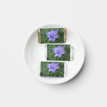 Glockenblume