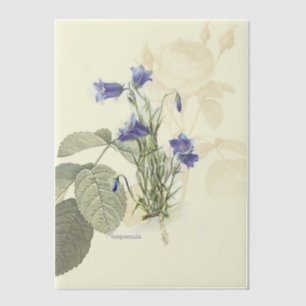 Glockenblume Botanische Überlagerung in Blau