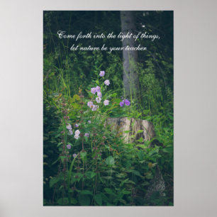 Glockenblumen im Wald Poster