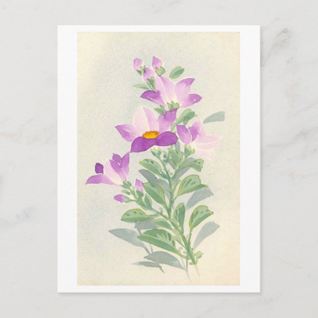 Glockenblumen (Japan) Postkarte (Vorderseite)