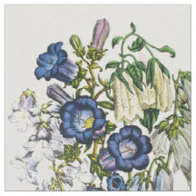 Glockenblumen