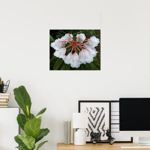Glockenförmige Rhododendren Florale Fotografie Poster