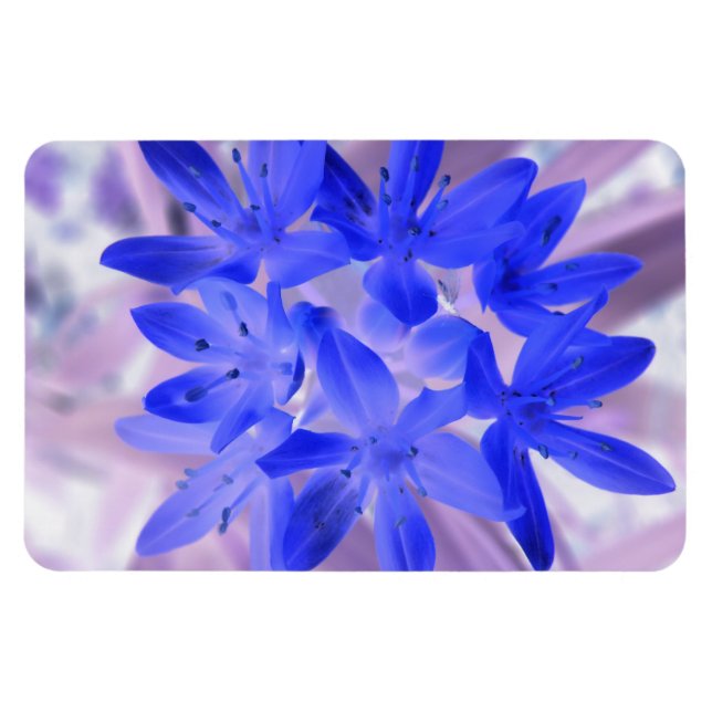 Gloire de la neige Choquant Blue Premium Magnet (Horizontal)