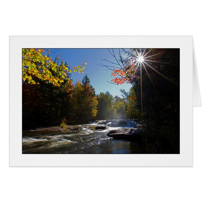 Gloire de matin (Devant horizontal)