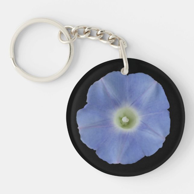 Gloire du matin (Devant)